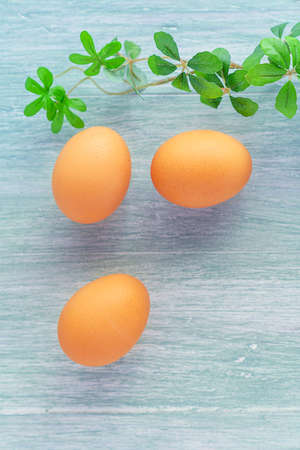 Fresh eggs on wooden table