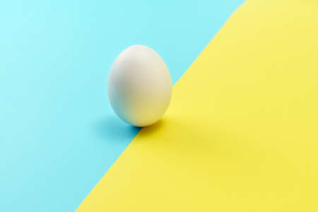 Egg on color backgroundの写真素材