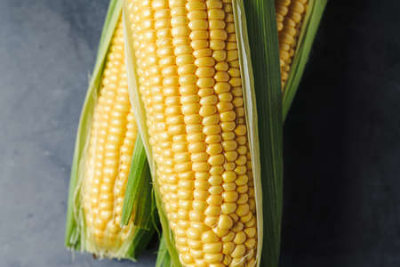Fresh corn isolated on wooden tableの写真素材