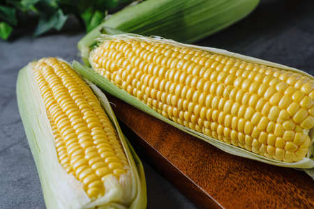 Fresh corn isolated on wooden table