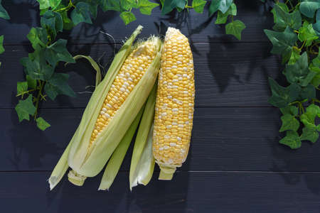 Fresh corn isolated on wooden table