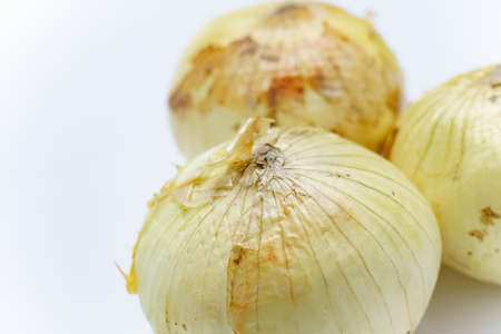 Raw unpeeled onionsの写真素材