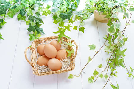 Fresh eggs on wooden tableの写真素材