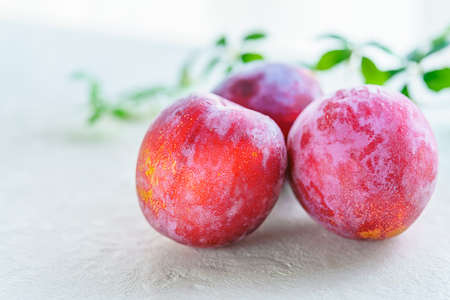 The fruit of the harvested Japanese plumの写真素材
