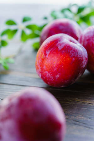 The fruit of the harvested Japanese plumの写真素材