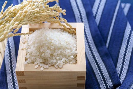 Japanese white rice, natural rice grain for background and textureの写真素材