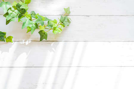 Abstract pattern and background textureの写真素材