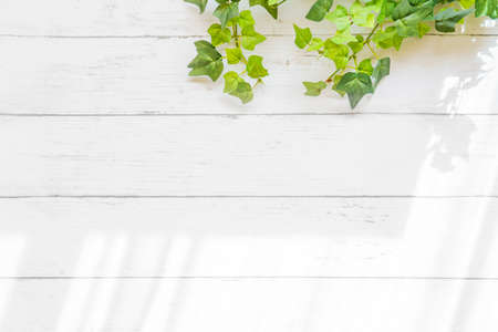 Abstract pattern and background textureの写真素材