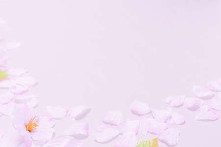 Cherry blossoms and background texture