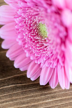 Gerbera flower on wooden tableの写真素材