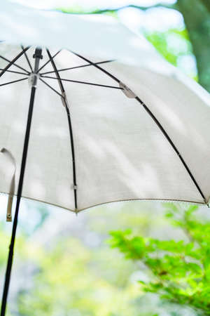 White parasol in the summer sunshineの写真素材