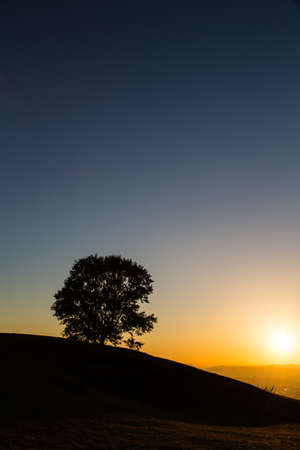 A wonderful sunset of Nara, Japanの写真素材