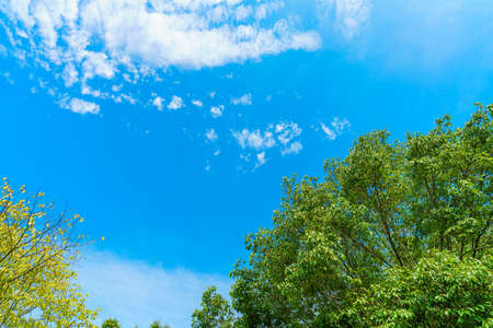 clouds in blue skyの写真素材