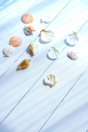 Japanese summer scene with shellfish on wooden table
