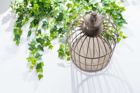Birdcage on wooden tableの写真素材