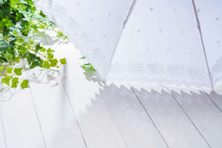 White parasol in the summer sunshineの写真素材
