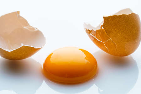 Fresh egg on white backgroundの写真素材