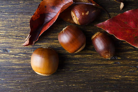 Acorns and fallen leaves on wooden background