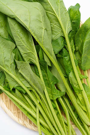 Fresh spinach on white background