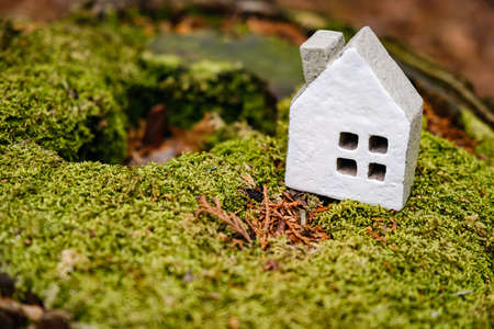 Miniature house in nature backgroundの写真素材