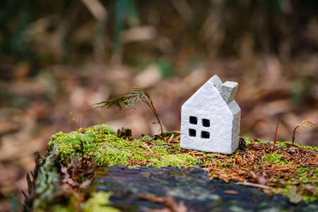 Miniature house in nature backgroundの写真素材