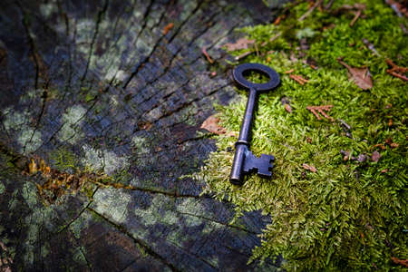 Vintage key on natural background