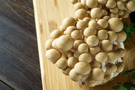 Shimeji mushroom on wooden table