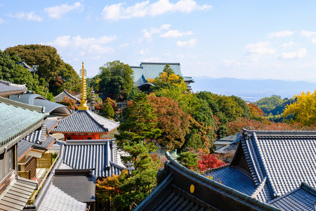Chougosonshi-ji Temple in Nara, Japan (11-08-2022)のeditorial素材