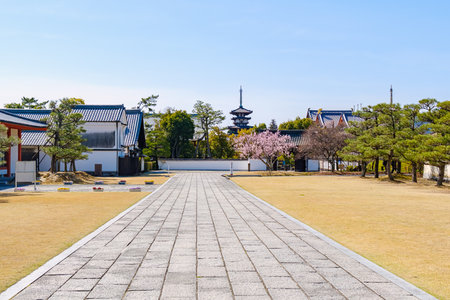 Yakushi-ji temple in Nara City, Nara Prefecture in Japan. (Taken on 03-20-2023)のeditorial素材