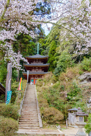 Matsuo-dera temple in Yamatokoriyama City, Nara Prefecture in Japan. (Taken on 03-27-2023)のeditorial素材