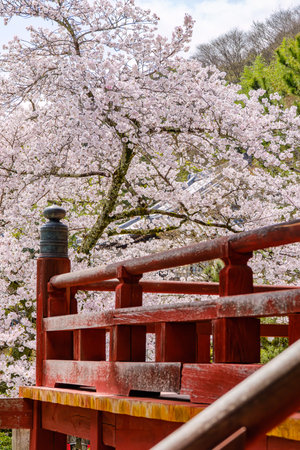 Yata-dera temple in Yamatokoriyama City, Nara Prefecture in Japan. (Taken on 03-27-2023)のeditorial素材