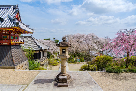 Yata-dera temple in Yamatokoriyama City, Nara Prefecture in Japan. (Taken on 03-27-2023)のeditorial素材