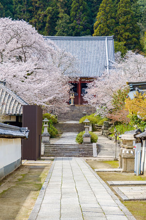 Yata-dera temple in Yamatokoriyama City, Nara Prefecture in Japan. (Taken on 03-27-2023)のeditorial素材