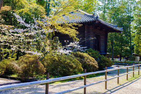Toshodaiji temple in Nara City, Nara Prefecture in Japan. (Taken on 03-28-2023)のeditorial素材