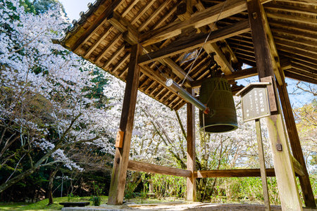 Chougakuji temple in Tenri city, Nara prefecture in Japan. (Taken on 03-29-2023)のeditorial素材