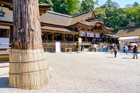 Omiwa shrine in Sakurai city, Nara prefecture in Japan. (Taken on 03-29-2023)のeditorial素材