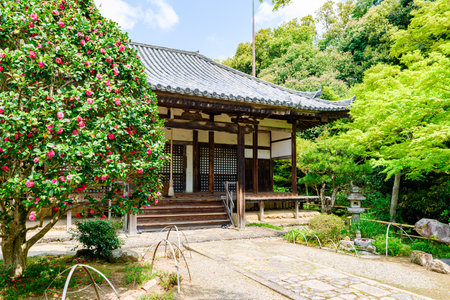 Byakugou-ji temple in Nara City, Nara Prefecture in Japan. (Taken on 04-11-2023)のeditorial素材