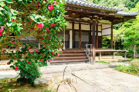 Byakugou-ji temple in Nara City, Nara Prefecture in Japan. (Taken on 04-11-2023)のeditorial素材