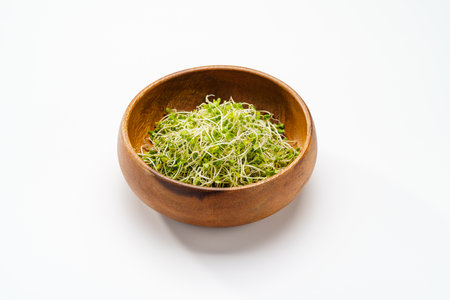 Broccoli sprouts isolated on white backgroundの写真素材