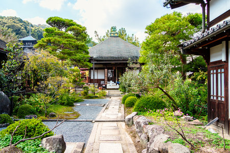 Taima-dera temple in katsuragi city, nara prefecture in Japan. (Taken on 10-17-2023)のeditorial素材