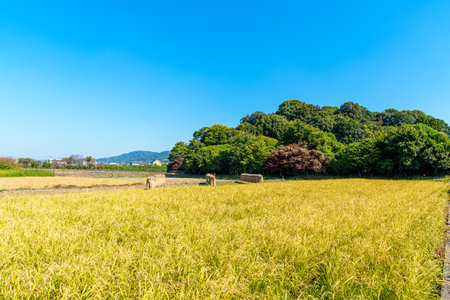Ancient queen Himiko's Tomb 'Hashihaka' in Sakurai city, Nara prefecture in Japan. (Taken on 11-01-2023)のeditorial素材
