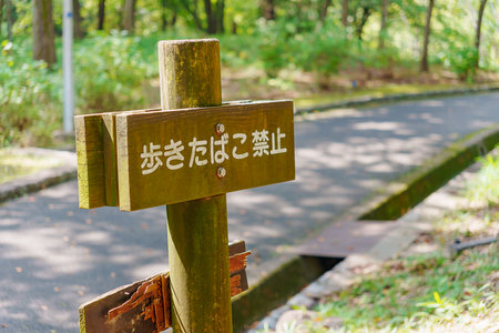 'Do not smoke while walking' sign at a streetの写真素材