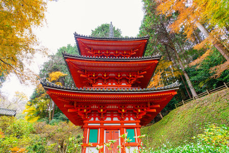 Gansen-ji temple in Kizugawa City, Kyoto Prefecture in Japan. (Taken on 11-29-2023)