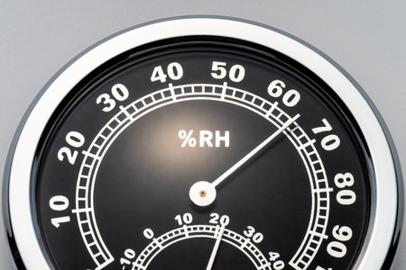 Hygro isolated on gray background