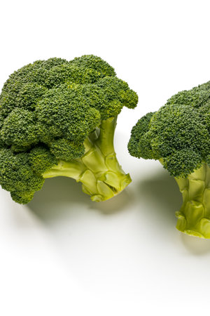 Broccoli isolated on white backgroundの写真素材