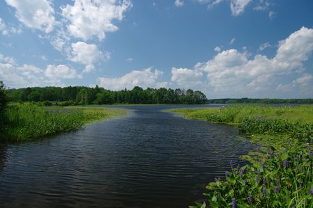 Boat Channel: A waterway for small boats leads into the Chippewa Flowage lake region of northern...