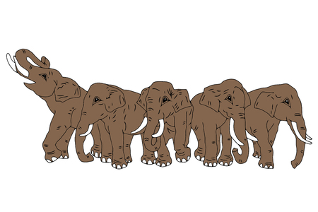 Drawing of group of five elephants on the isolated backgroundのイラスト素材