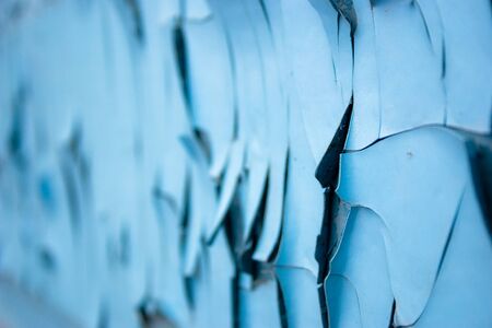 Background from old blue cracked paint