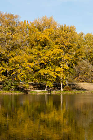 Autumn landscape. Landscape with trees and lake. Calm lake on a sunny autumn morningの写真素材