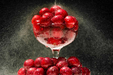 Ripe cherries in a glass. Juicy cherries in a glass with splashing water on a black background.の写真素材